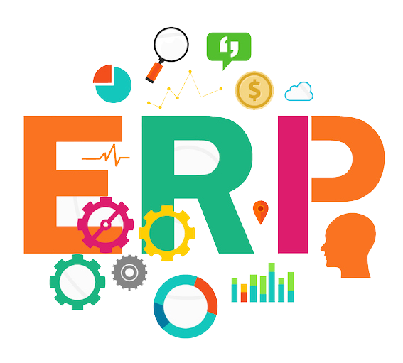 erp consultation